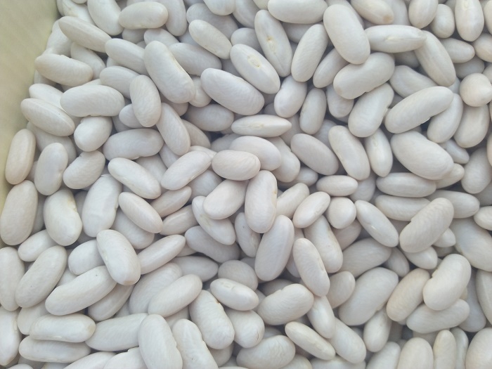 39264 - Offer White beans Egypt